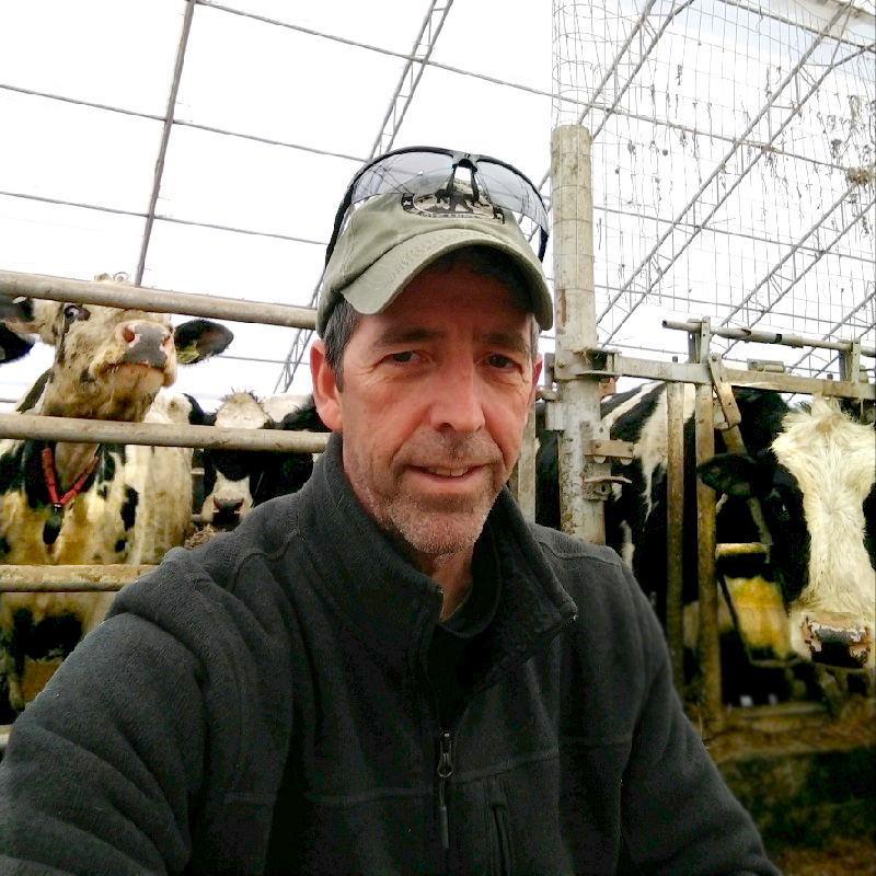 Picture of John Larkin with cows